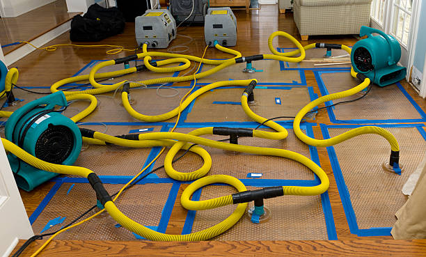 Professional Water Extraction technician working in Madison, MN